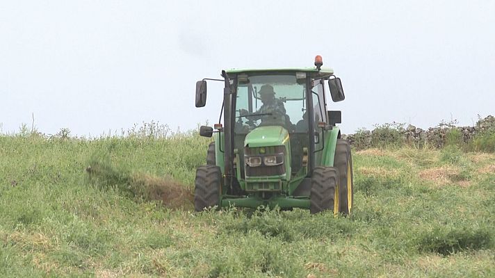 Telecanarias - El Hierro espera por la declaración de emergencia hídrica