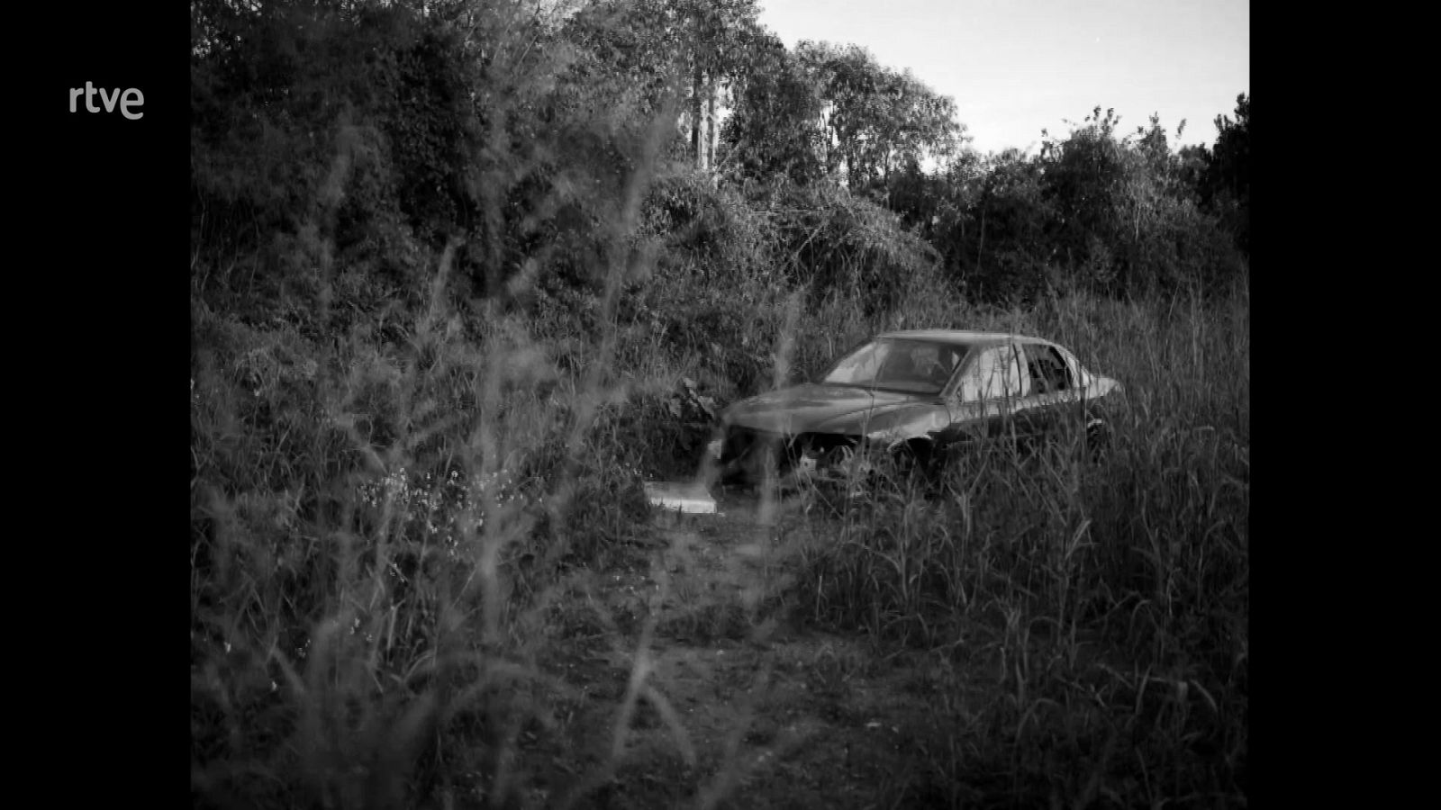 La aventura del saber - Boek visual: Gerard Boyer Ballesteros - Ver ahora