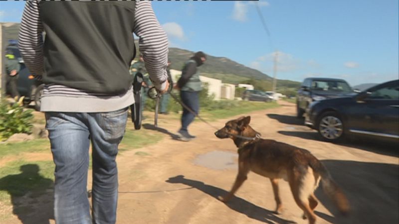 Piden Zona de Especial Singularidad - Ver ahora