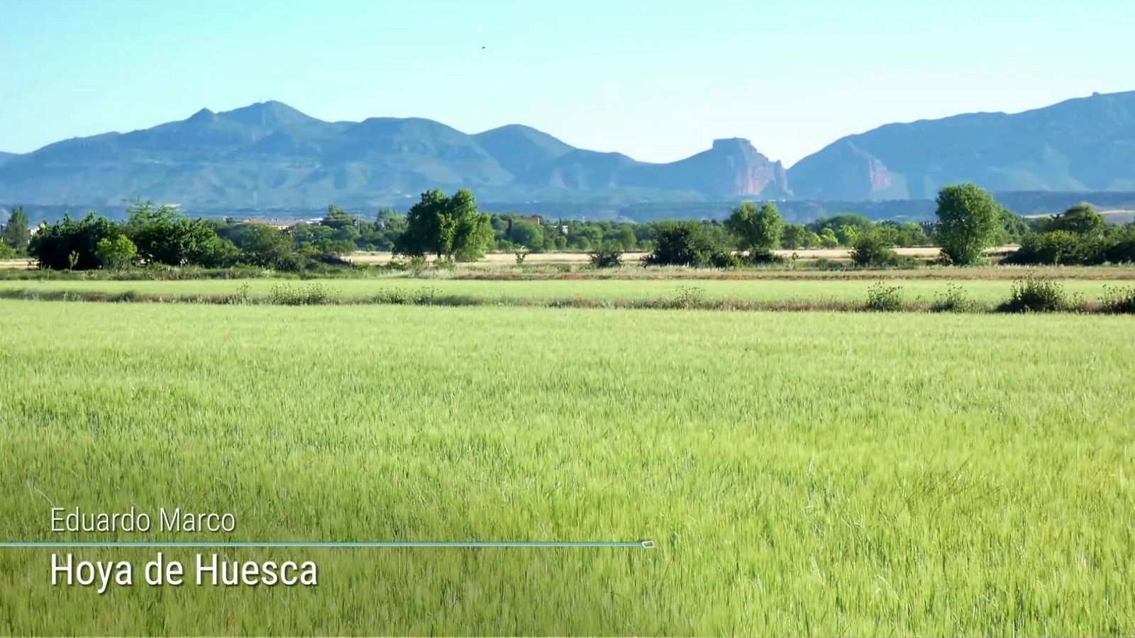 Viento fuerte o con intervalos de fuerte en el Ampurdán, Menorca, Estrecho y litoral noroeste de Galicia - ver ahora