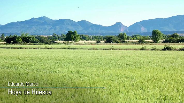 El tiempo - Viento fuerte o con intervalos de fuerte en el Ampurdán, Menorca, Estrecho y litoral noroeste de Galicia