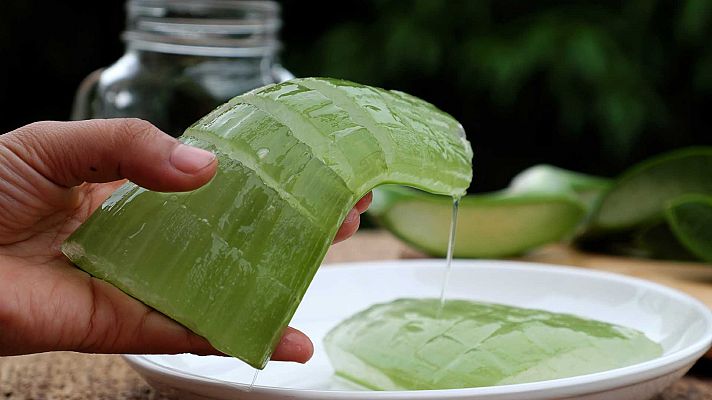 Saber vivir - ¿Qué eficacia tienen las plantas conocidas como medicinales?