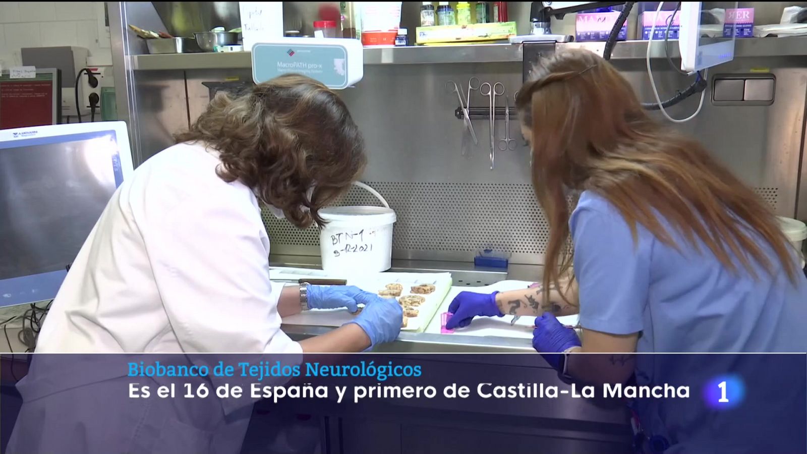 Sin programa: Biobanco de cerebros en Ciudad Real | RTVE Play