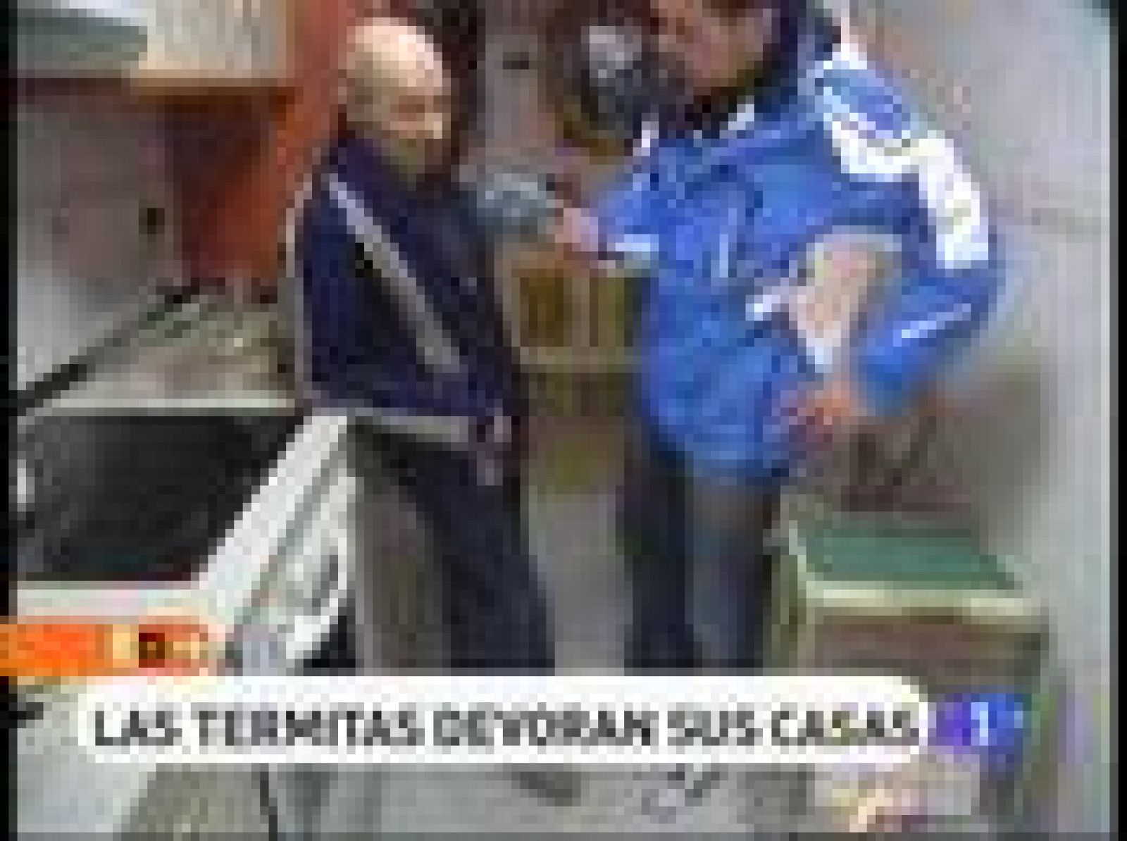 España Directo - Devorados por las termitas | Ver