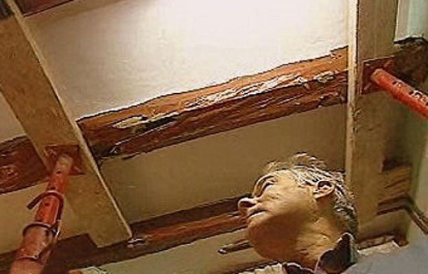 España Directo - Devorados por las termitas