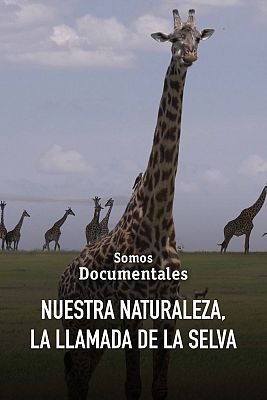 Nuestra naturaleza la llamada de la selva