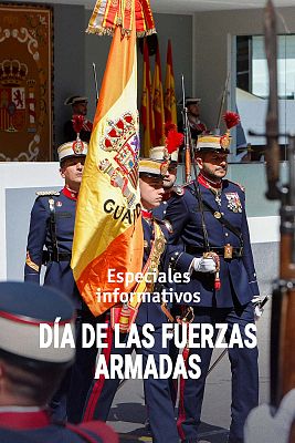 Especiales informativos - Día de las Fuerzas Armadas