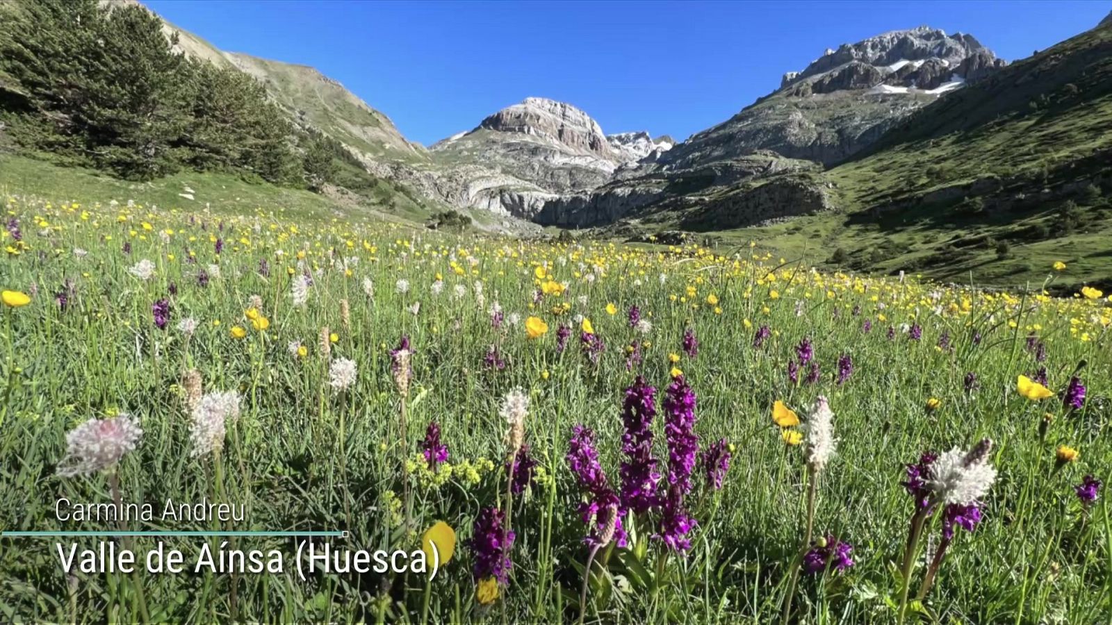 Probabilidad de tormentas fuertes y con granizo en áreas del interior del cuadrante noroeste, sur del Sistema Ibérico y Pirineos orientales - ver ahora