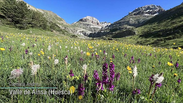 Probabilidad de tormentas fuertes y con granizo en áreas del interior del cuadrante noroeste, sur del Sistema Ibérico y Pirineos orientales