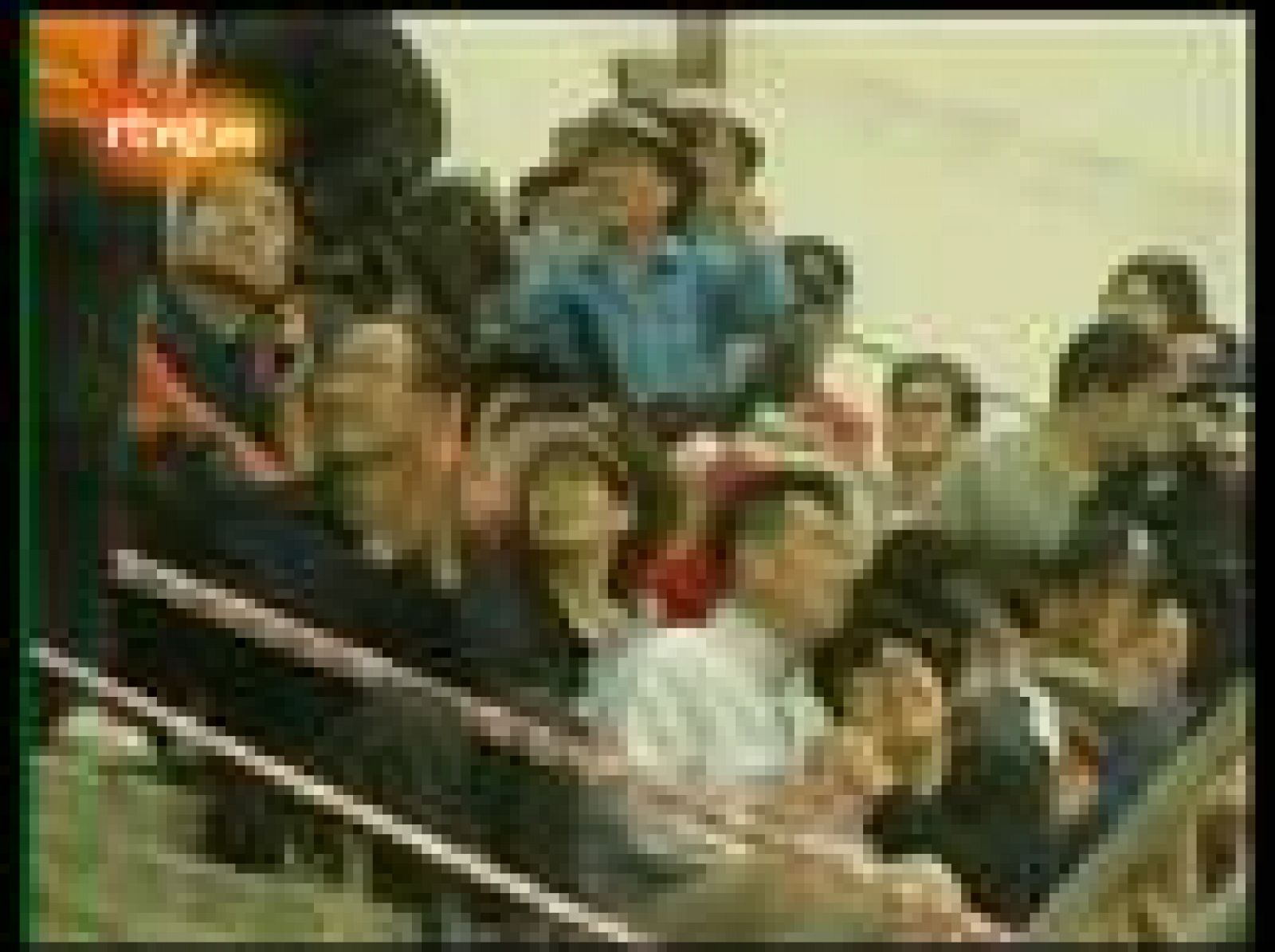 Deportes locos 1 y acción... | Ver