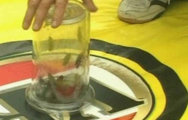  - ...deportes locos 2 y corten