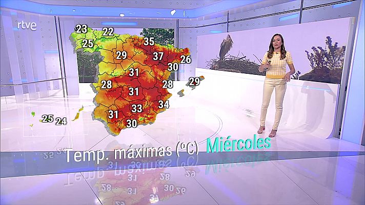 El tiempo - Una borrasca dejará en Galicia, Cantábrico occidental y noroeste de Canarias cielos nubosos y precipitaciones en forma de lluvias y chubascos