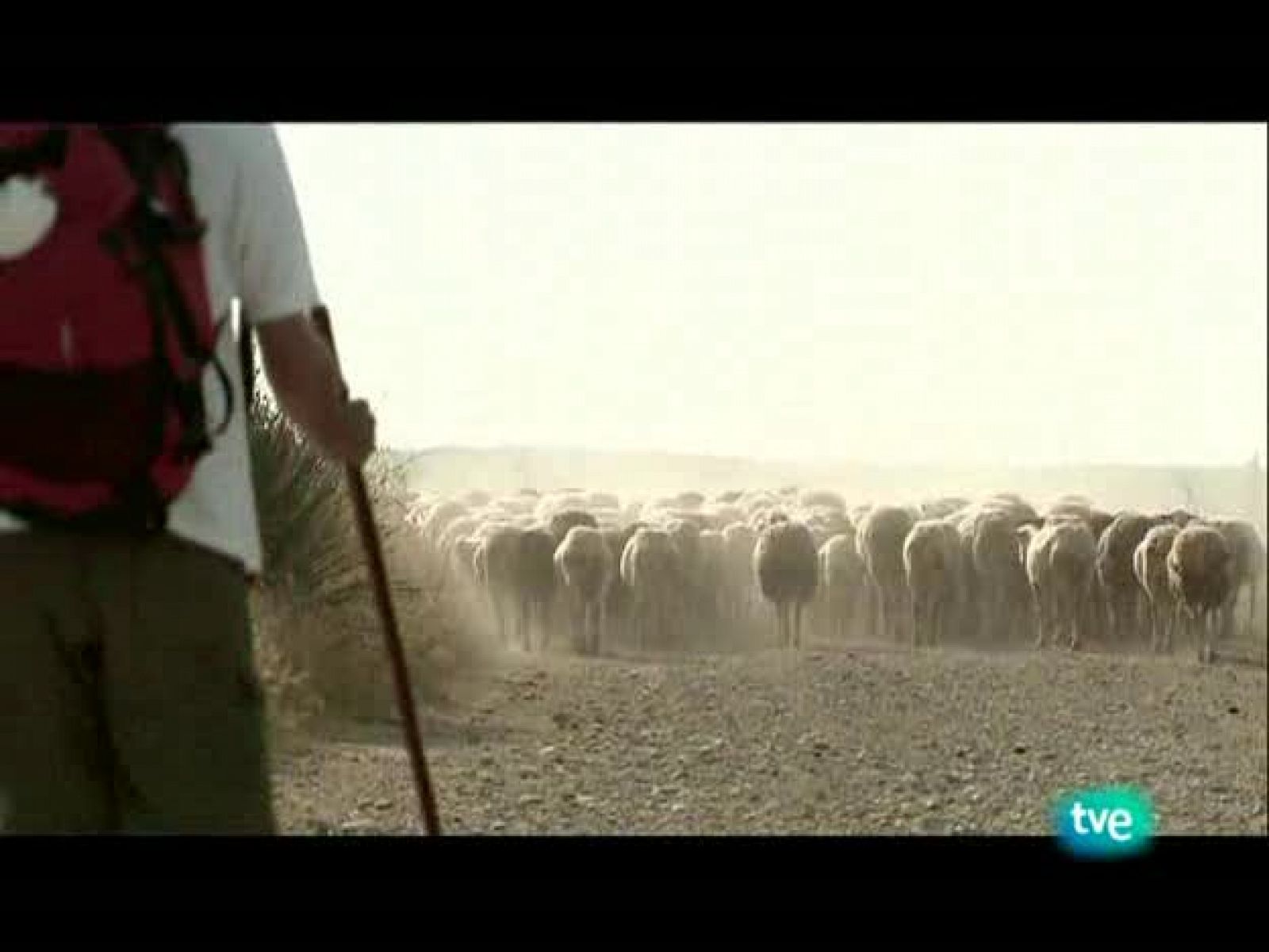 Nuestros caminos a Santiago - Camino de la lana - Nuestros caminos a Santiago | Ver