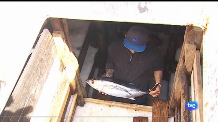 Panorama Regional - Panorama Regional - 31/05/22