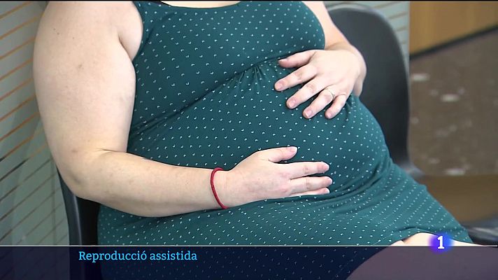 Informatiu Balear - Creix un 40% el nombre de mares fradines