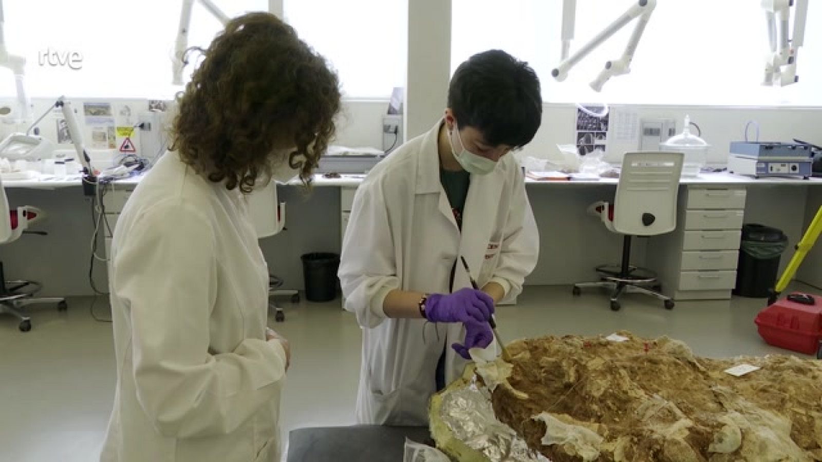 Aquí hay trabajo - Estatuto del Becario - ver ahora