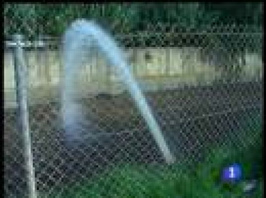  - Sentencia del Supremo