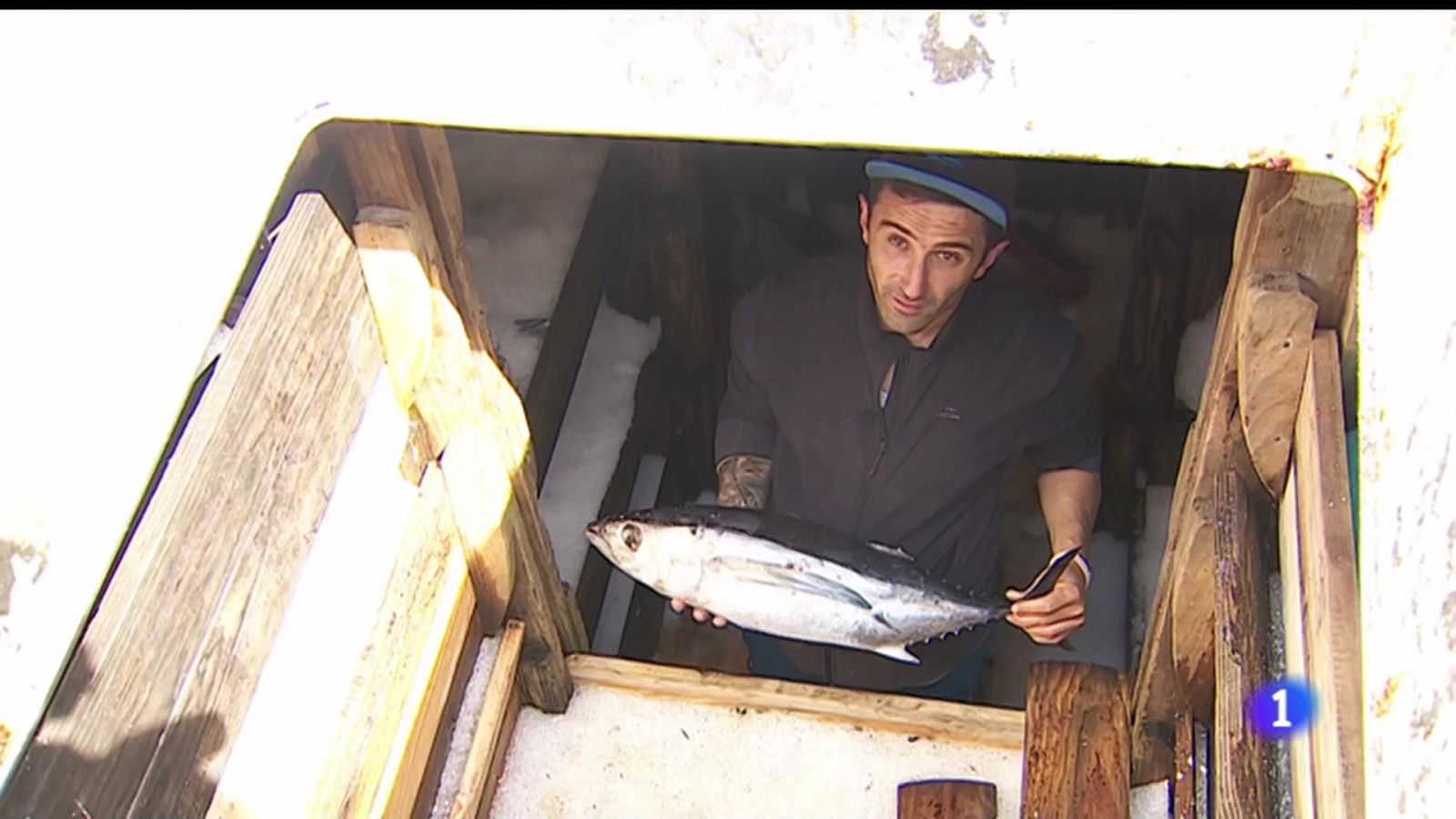 La embarcacion "Siempre Peco" se lleva la recompensa de haber capturado los primeros bonitos del año