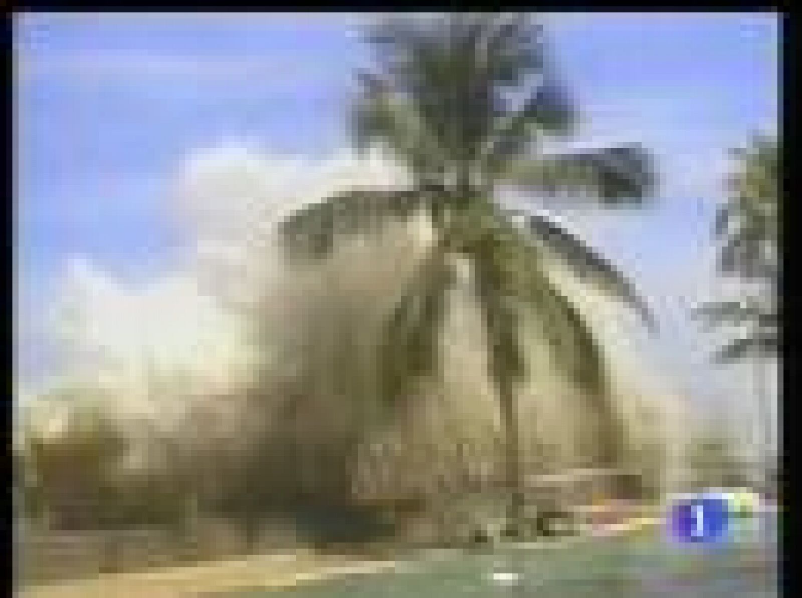 Sin programa: Aniversario del tsunami de 2004 | RTVE Play