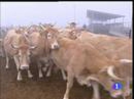  - Ayuda informática para ganaderos