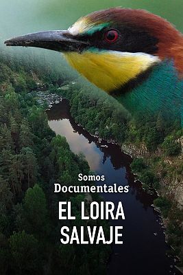 Somos Documentales - El Loira salvaje