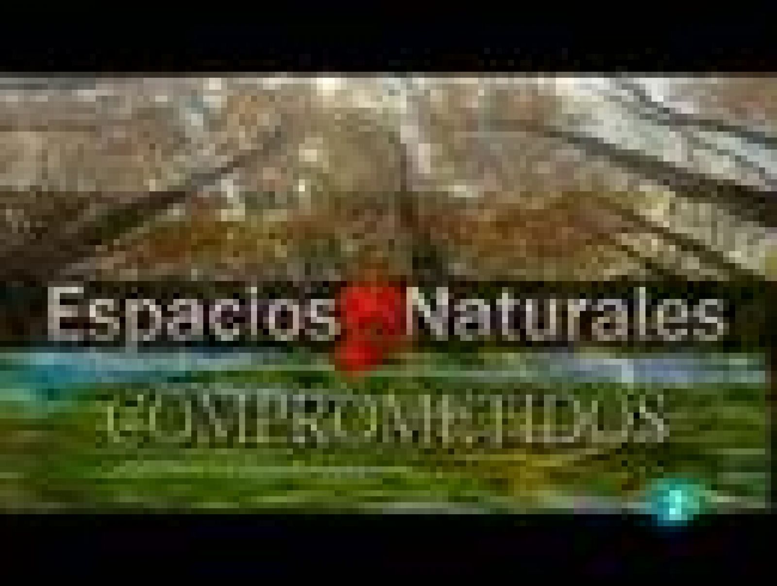 Espacios naturales: El guardián de Montejo | RTVE Play