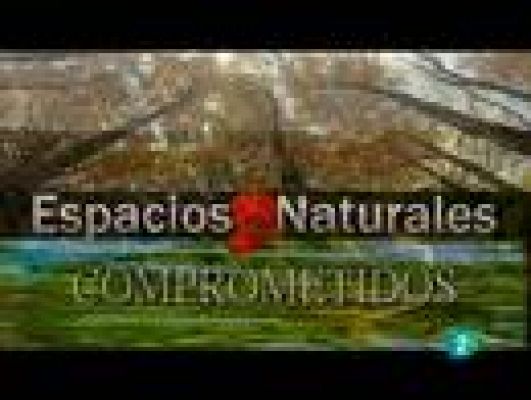 Espacios naturales - El guardián de Montejo