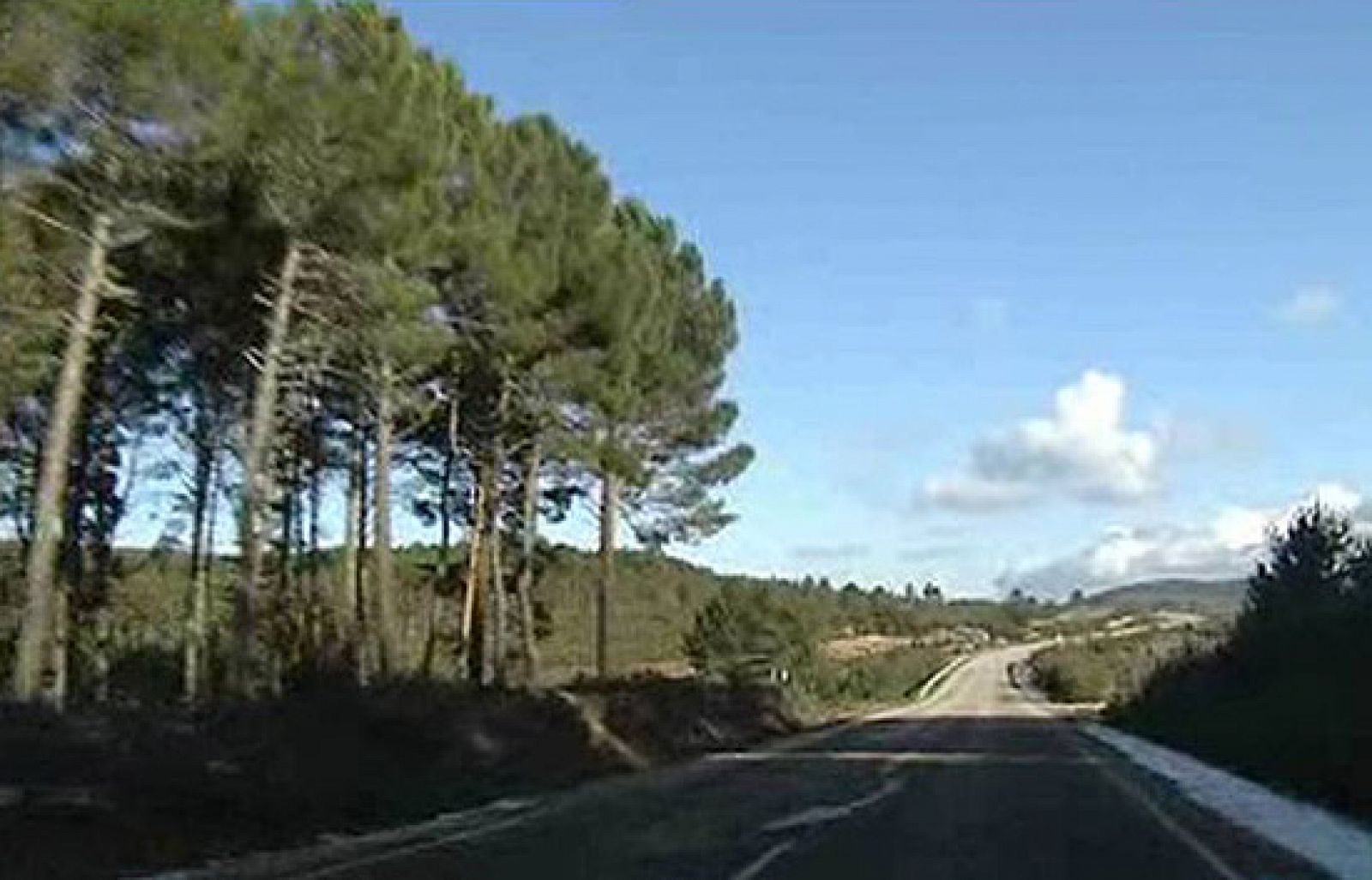 En algunas carreteras hay verdadero riesgo de chocar con un ciervo o jabalí