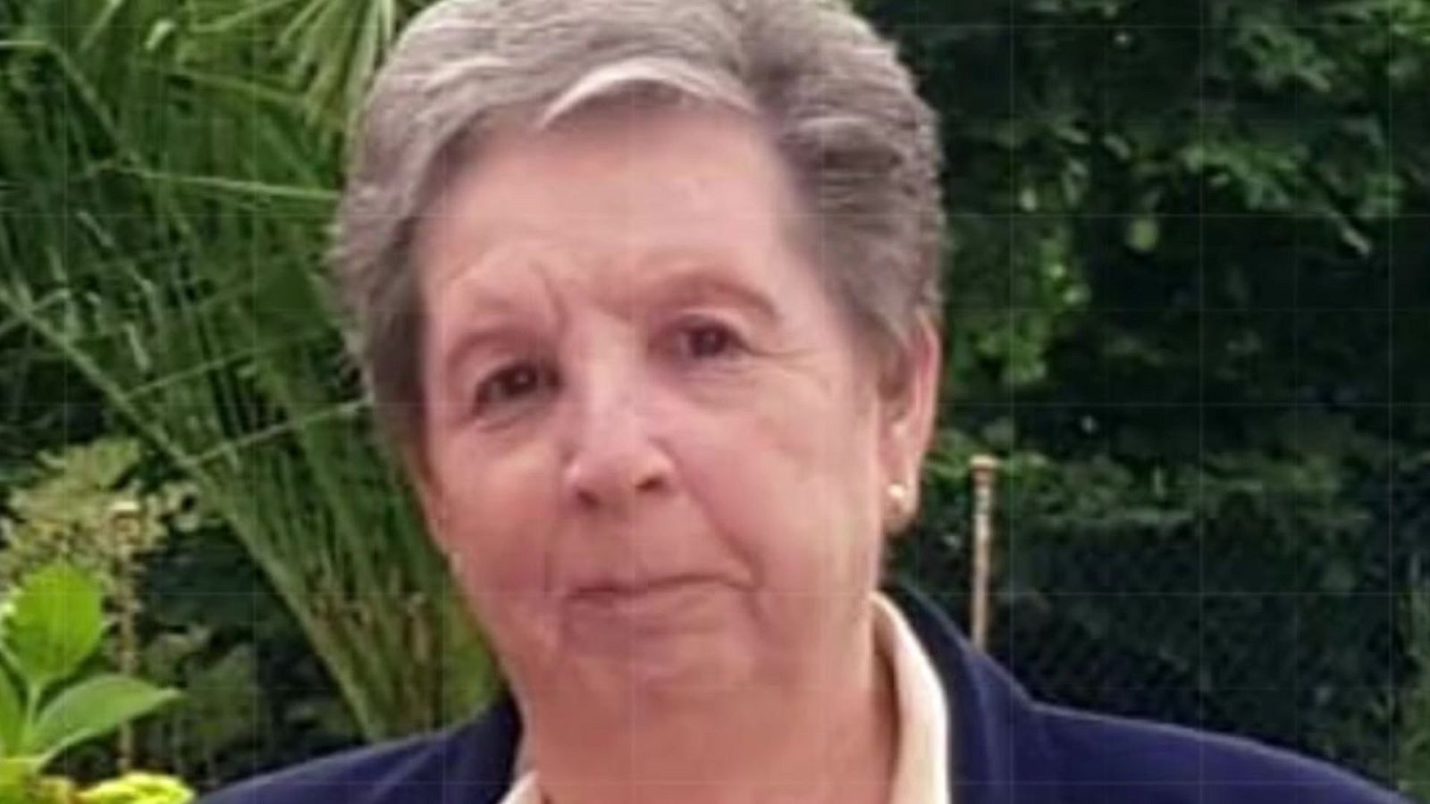 Encuentran 140.000 euros en efectivo en casa del actor Luis Lorenzo | Ver