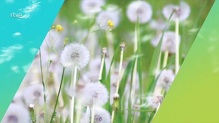 El tiempo - Probabilidad de chubascos localmente fuertes en el norte de Galicia y oeste de Asturias