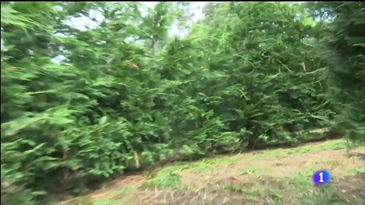 Telexornal - Galicia - Labirinto de Breoghán