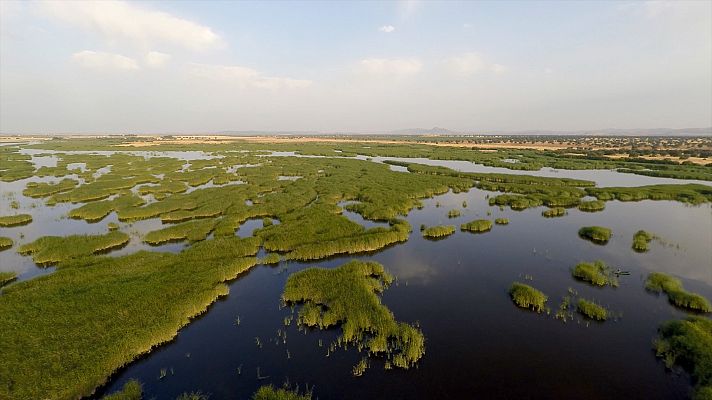 Parques nacionales. 100 años de historia