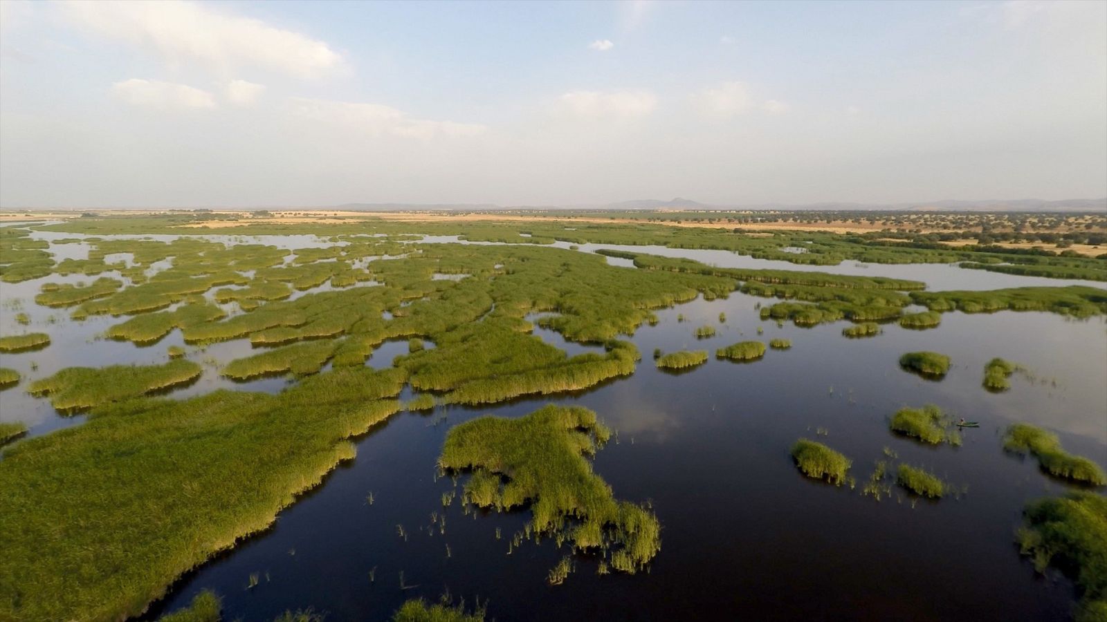 El bosque protector - Parques nacionales. 100 años de historia - ver ahora