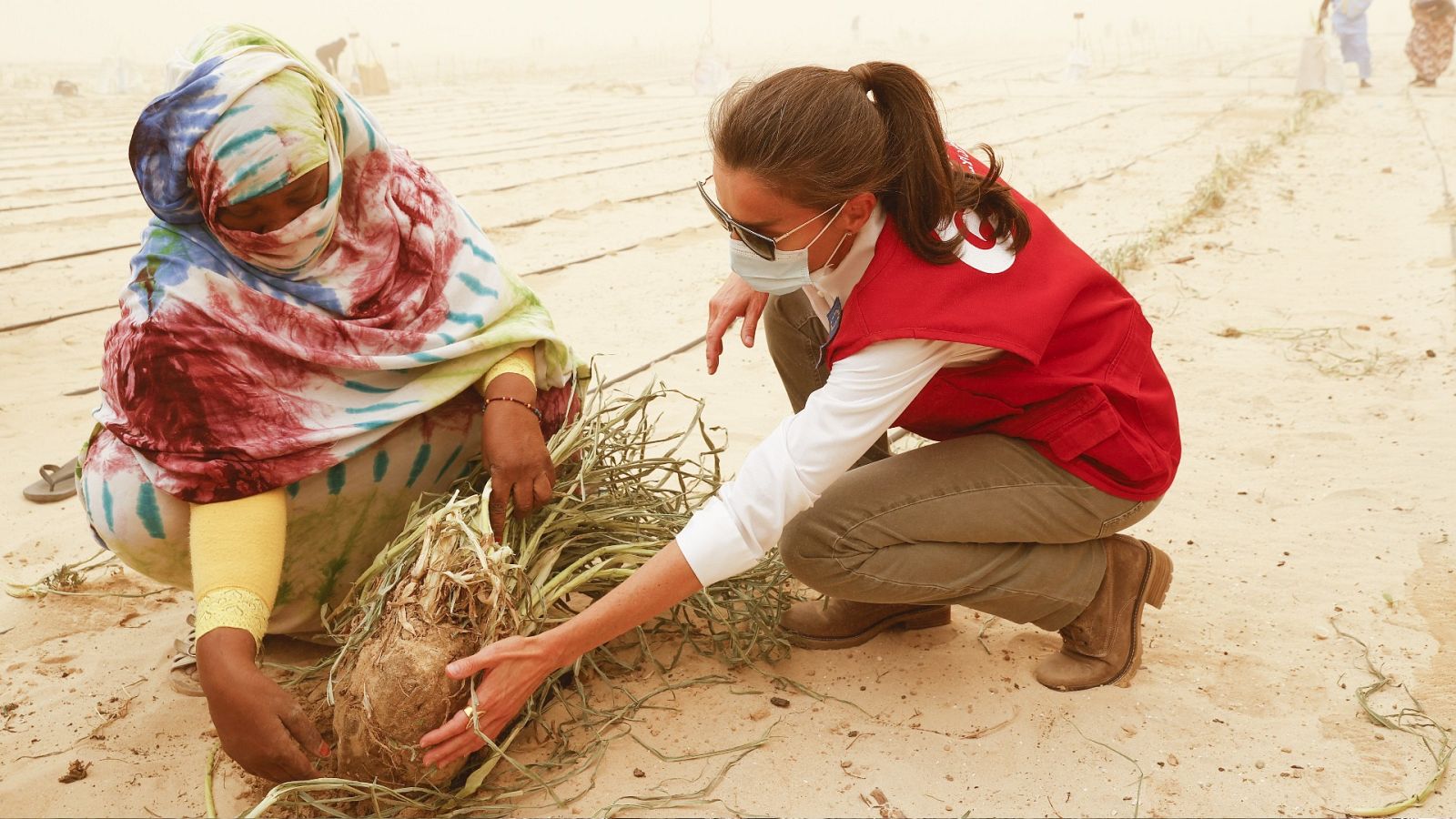 Audiencia Abierta - 04/06/22 - ver ahora