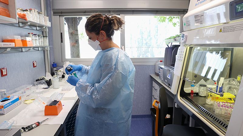 Más de 800 casos de viruela del mono diagnosticados fuera de África