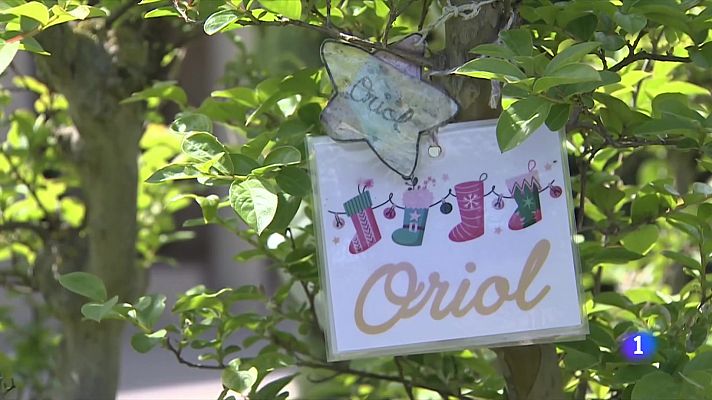 L'Informatiu - Gestionar el dol perinatal