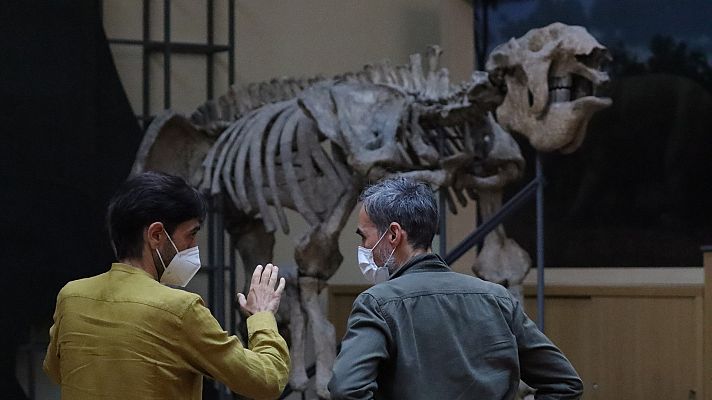 Evolución. 250 años del Museo Nacional de Ciencias