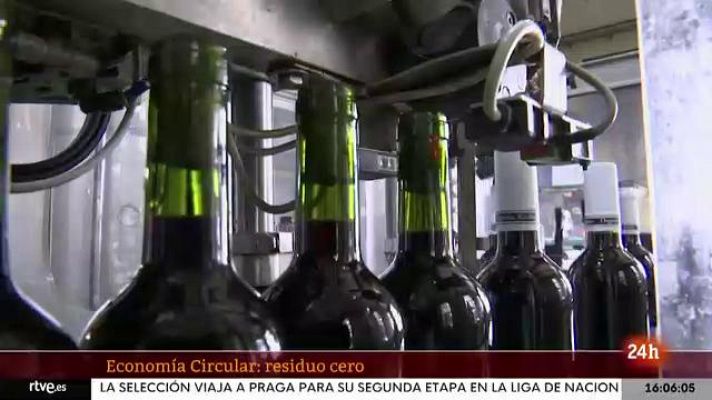 Economía Circular: de la uva se aprovecha todo