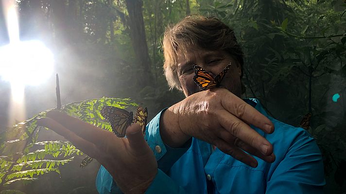 Somos Documentales - Hacia la circularidad