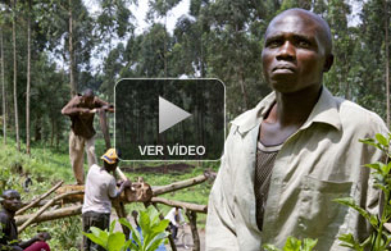 La historia de la huída de Mishoka 