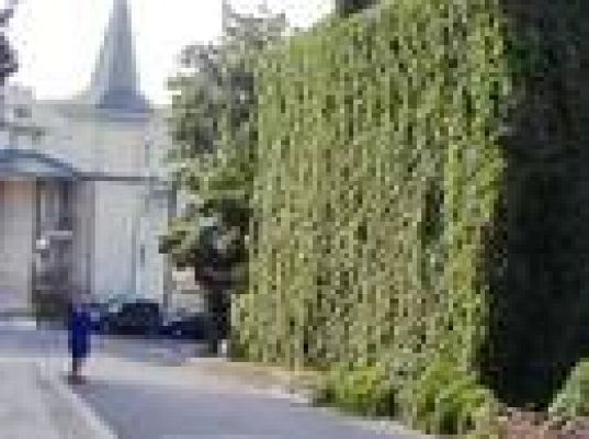 Cultura en Rtve.es - Documental sobre Iván Zulueta