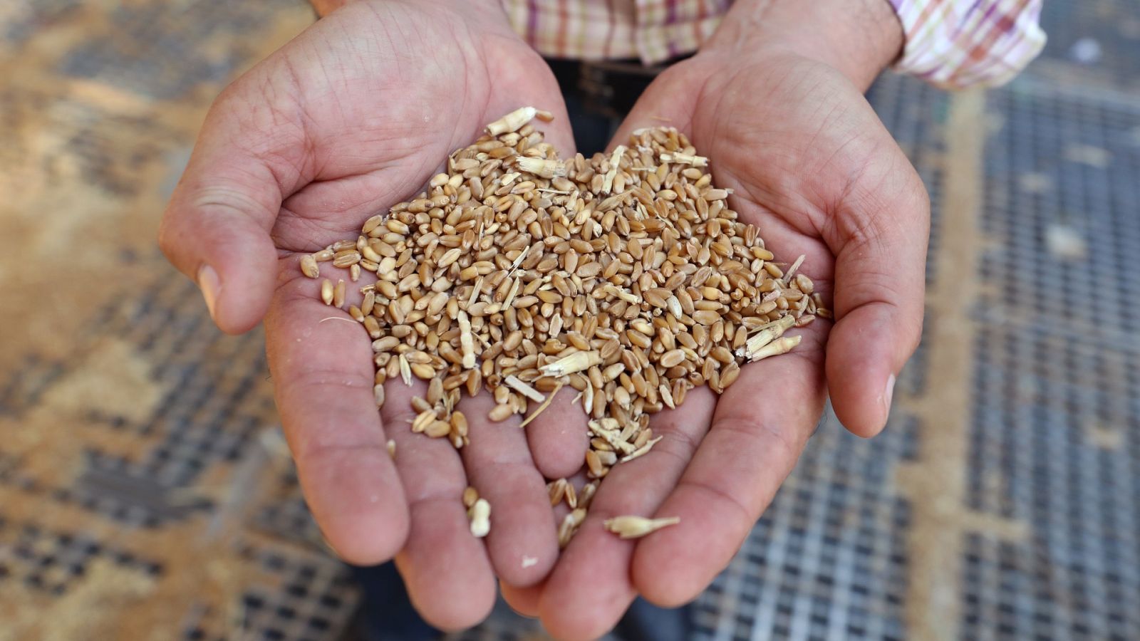 La tarde en 24 horas - 07/06/22 (2) - ver ahora