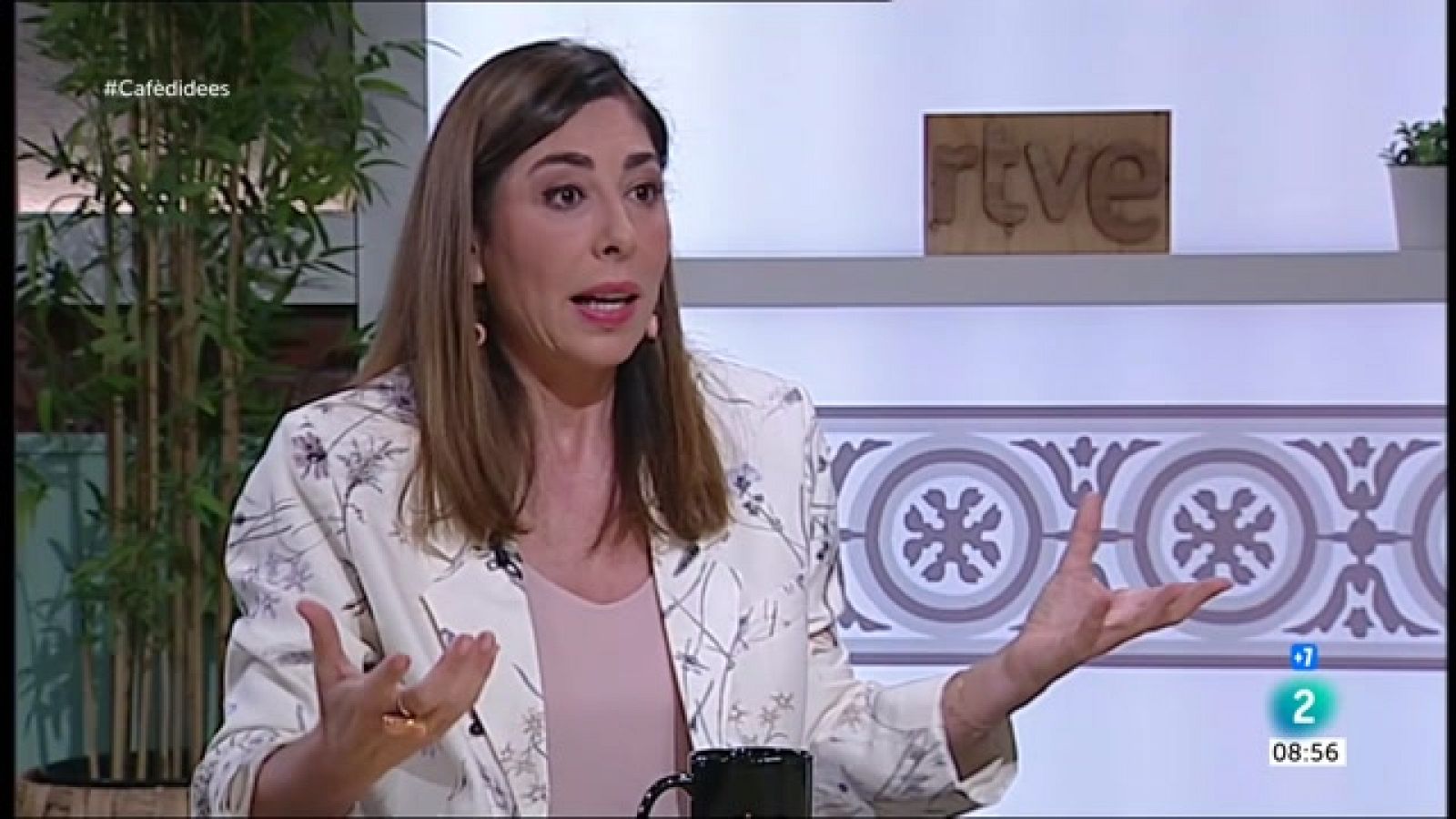 Luz Guilarte: "El CGE no ha donat resposta al que plantejàvem"