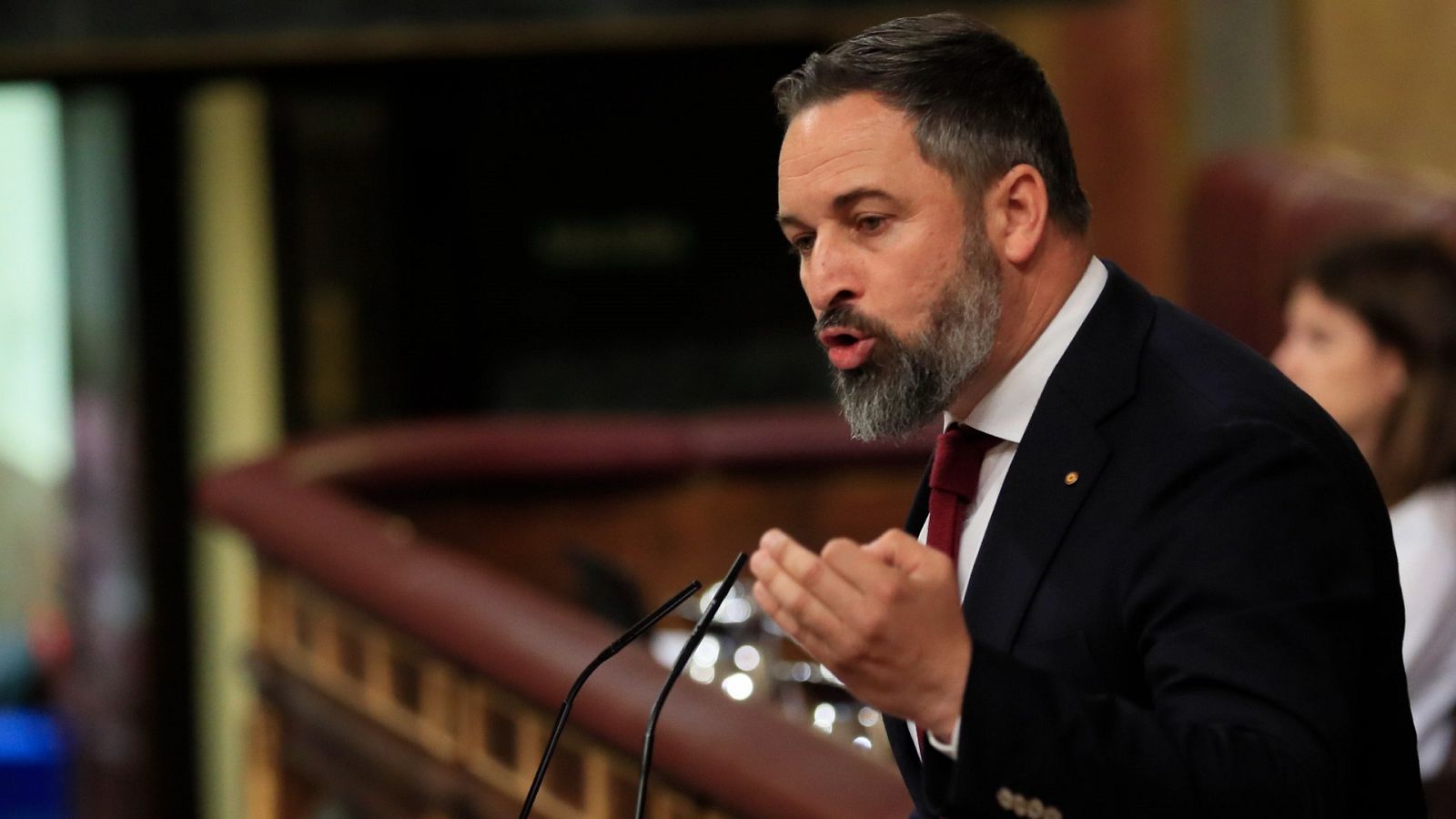 Abascal cree que las cumbres europeas son la "zona de confort" de Sánchez