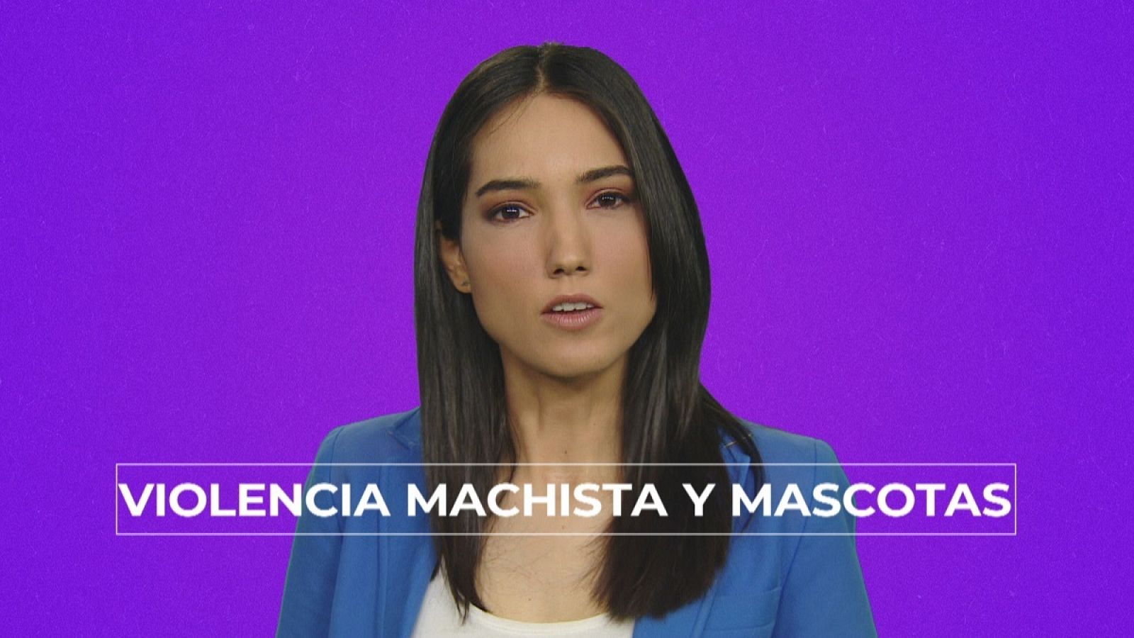 EL DATO 20: Violencia machista y mascotas