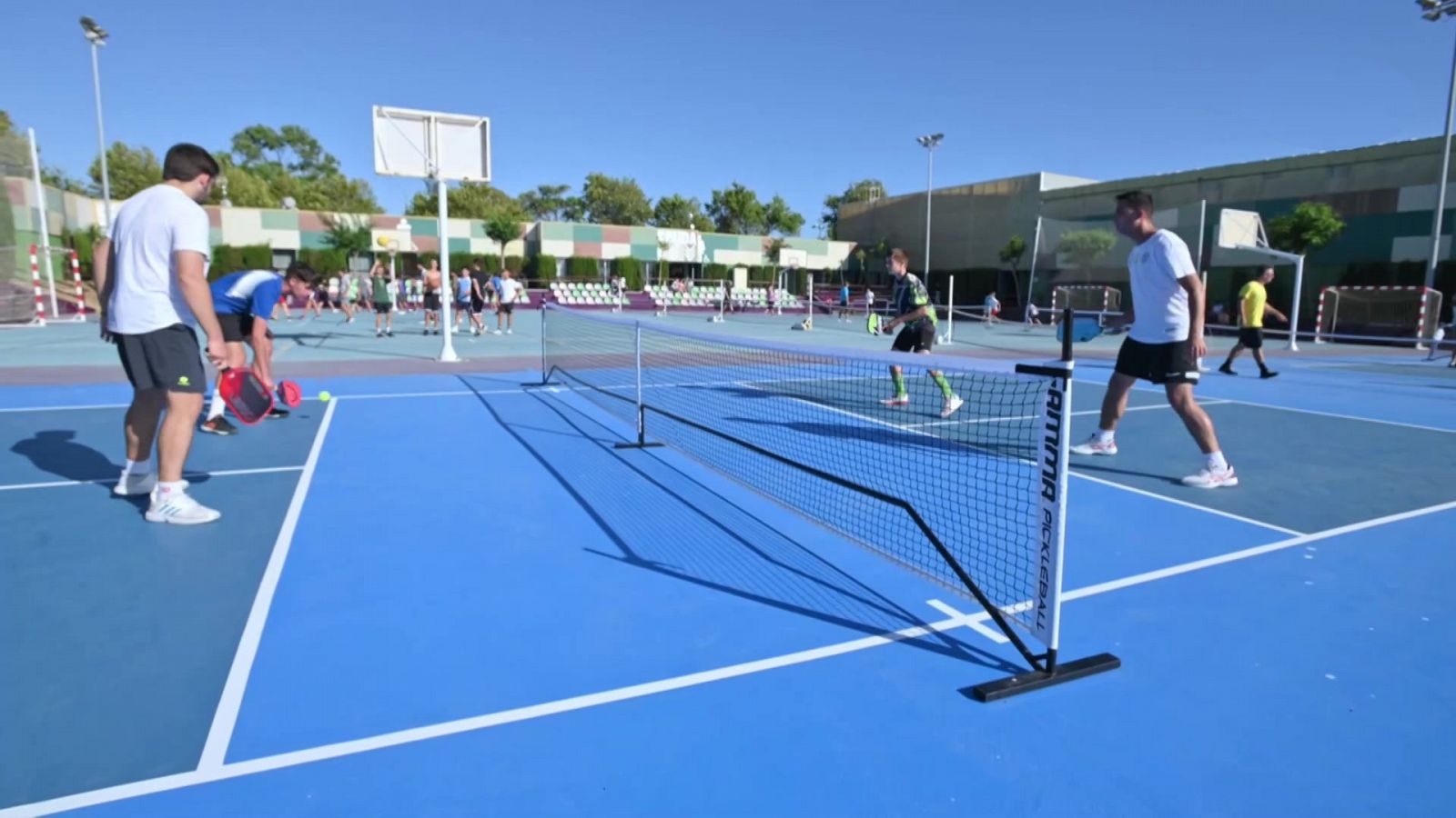 Pickeball - Reportaje: ¿Qué es el Pickleball? - RTVE Play