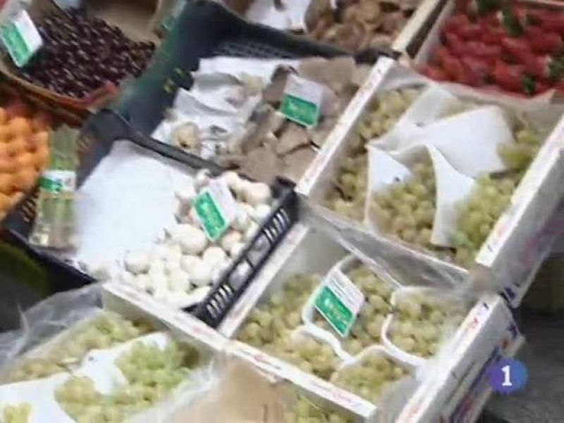   Noticias de Castilla La Mancha. Informativo de Castilla La Mancha. (31/12/09)