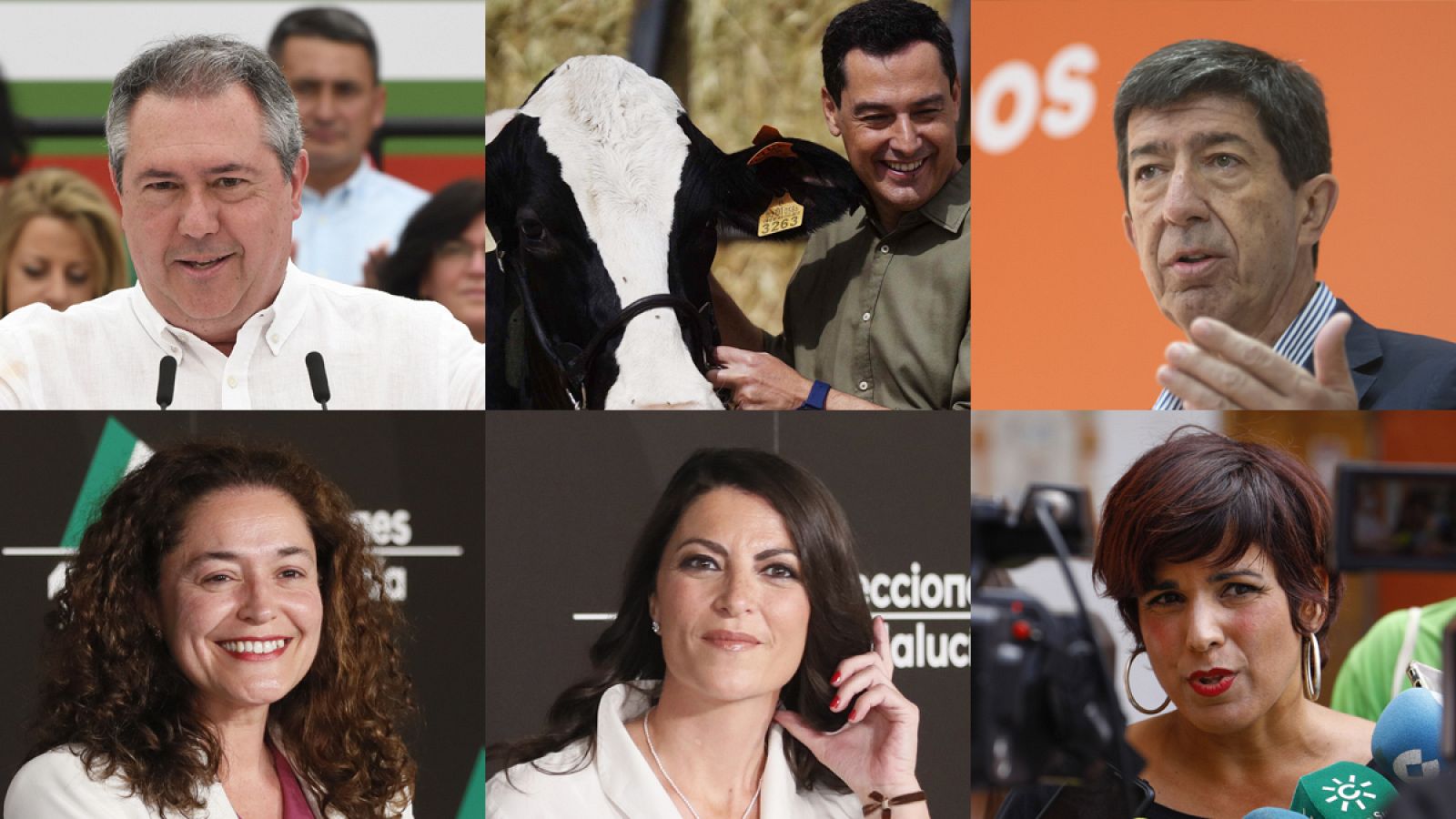 Los posibles pactos marcan una jornada de la campaña del 19J con la vaca "talismán" Fadi de protagonista