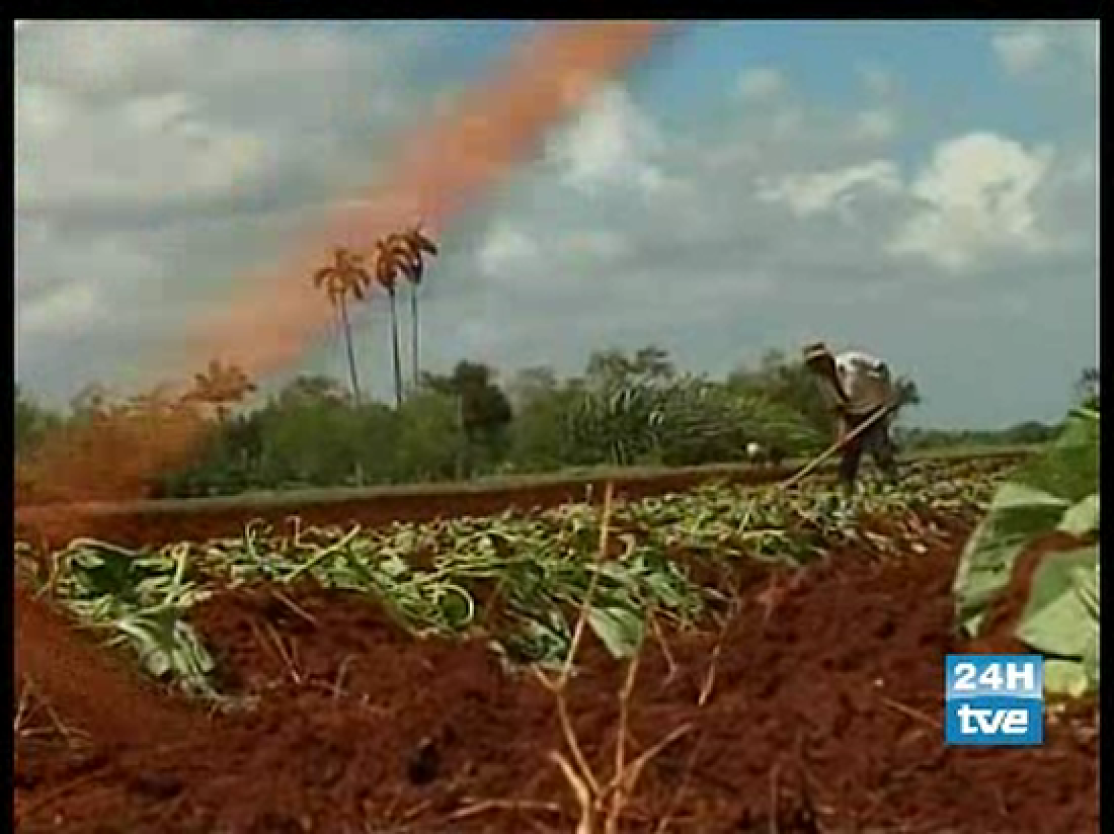 Vea el reportaje de El Mundo en 24 Horas, en el que se explican las consecuencias de la crisis alimentaria.
