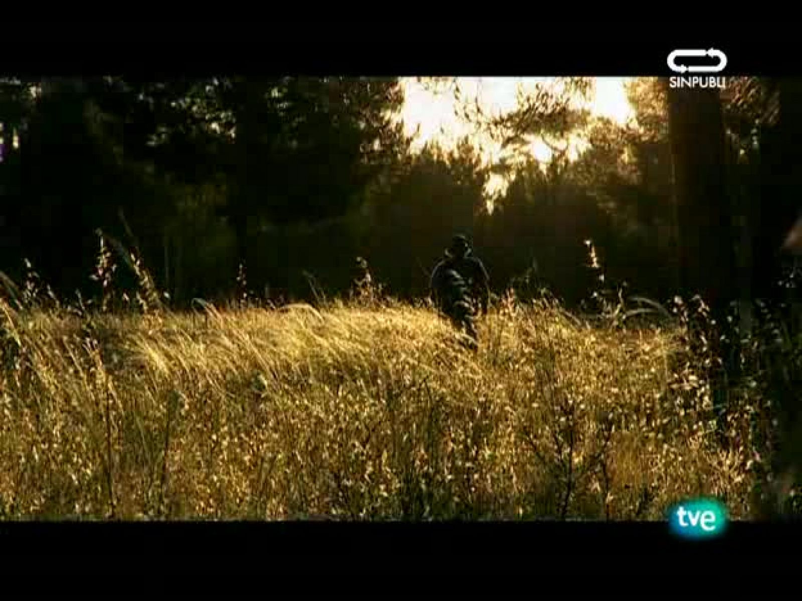 Nuestros caminos a Santiago - Camino de Madrid.